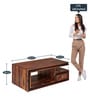 Xavier Sheesham Wood Coffee Table in Honey Finish