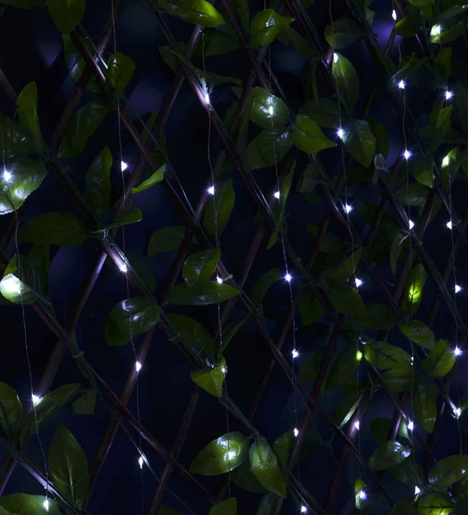 Gaze White and Silver 10 Meter LED String Light