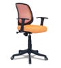 Xena Mid Back Ergonomic Chair In Orange Colour