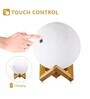 Inverted Beige PVC & Wood LED Lamps