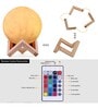 Inverted Beige PVC & Wood LED Lamps