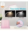 Rechargeable Desk Lamp Multifunctional Led Table Lamp With Pen Container And Mobile Phone Holder/Charger (Pink)