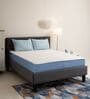 XpertGRID Ultra 10 Inches With Grid Layer & HR Foam Mattress In Queen Size