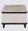 Xylo Marble Top Coffee Table In White & Black Colour