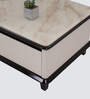 Xylo Marble Top Coffee Table In White & Black Colour