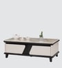 Xylo Marble Top Coffee Table In White & Black Colour