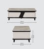 Xylo Marble Top Coffee Table In White & Black Colour