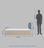 Yama Queen Size Bed With Upholstered Leatherette Headboard And Hydraulic Storage