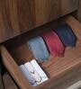 Yamato 3 Door Wardrobe in Columbia Walnut Finish with Lock Yamato 3 Door Wardrobe in Columbia Walnut Finish with Lock