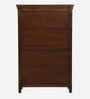 Yardbirds Solid Wood 2 Door Wardrobe In Distress Blue Colour With Mirror