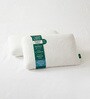 Yarrow Orthopedic Cervical (22 X 14) Memory Foam Sleeping Pillow