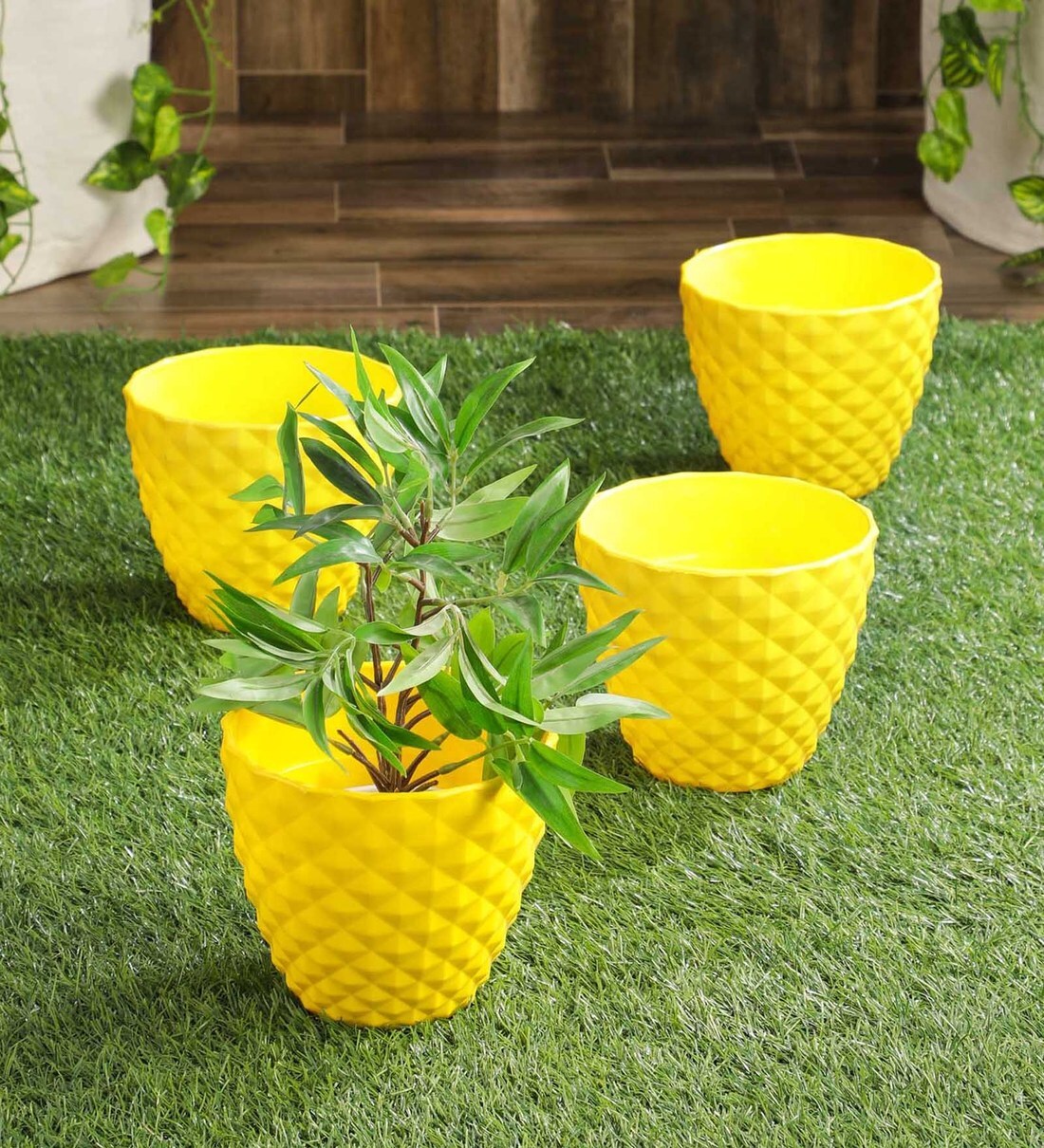 Buy Yellow Plastic Garden Essential Plastic Kohinoor Indoor Planter