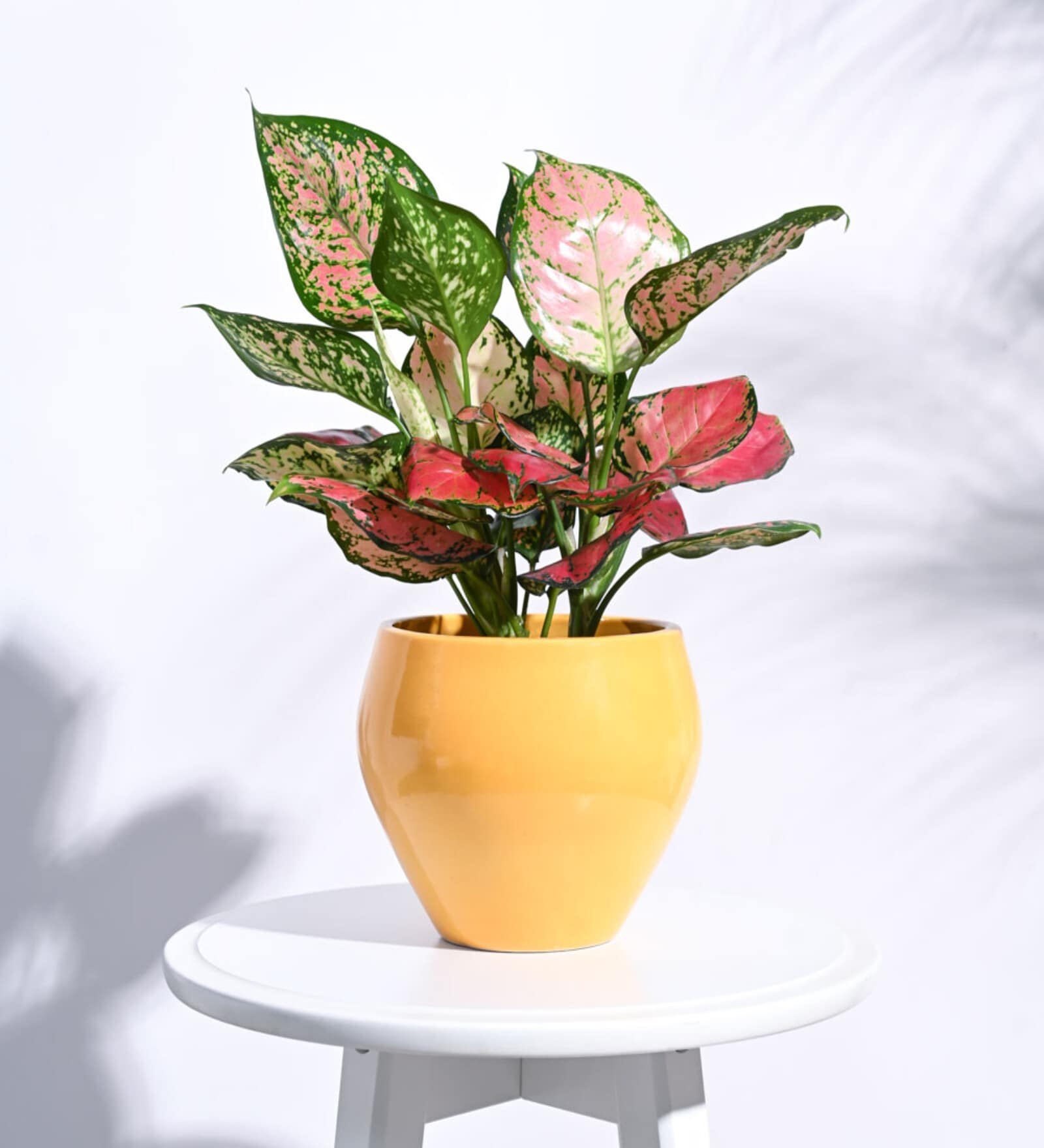 Yellow Ceramic Apple Shape Desk Pot Desk Pot