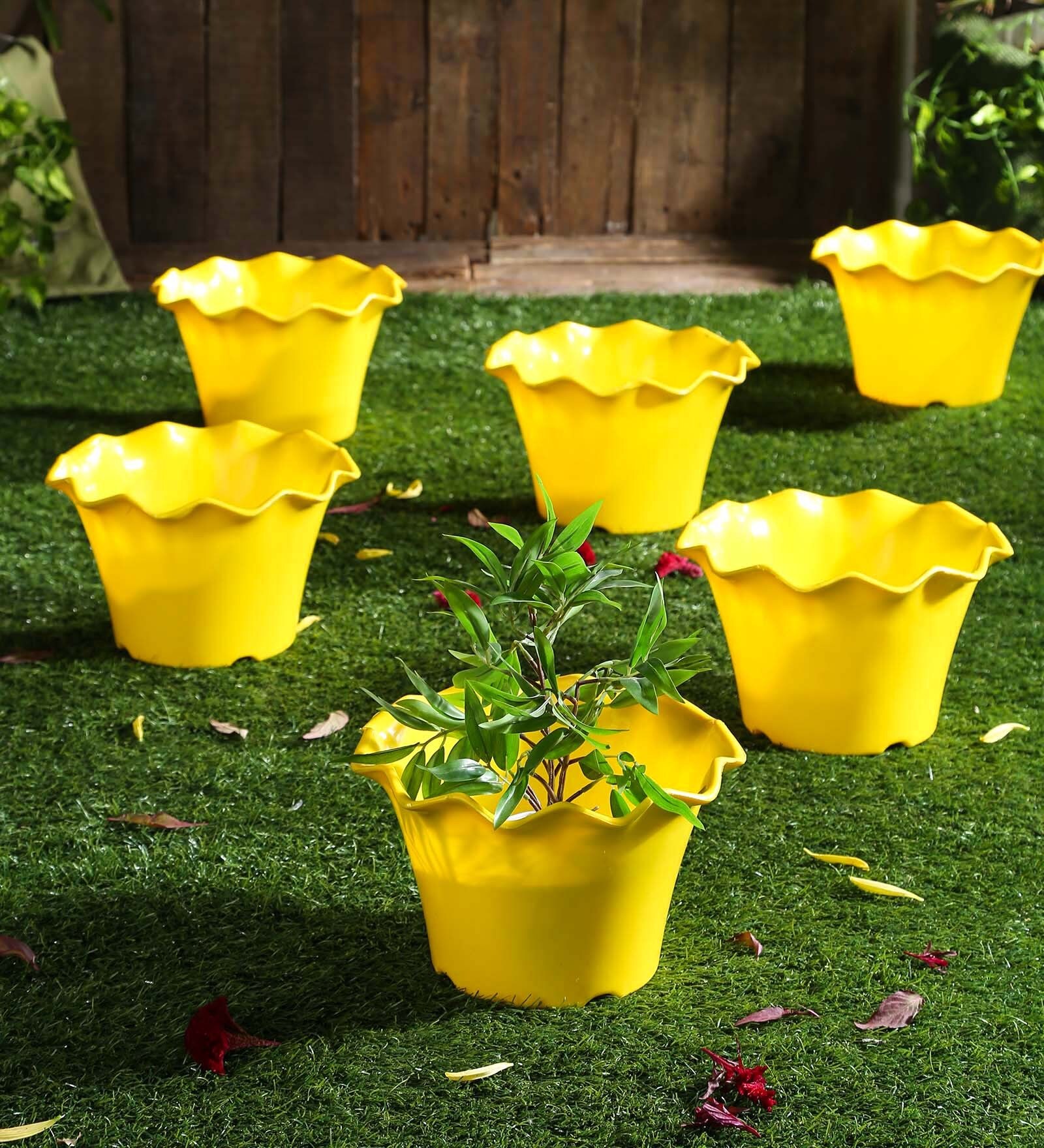 Buy Yellow Plastic Planter Set Of 6 By Meded at 15 OFF by Meded
