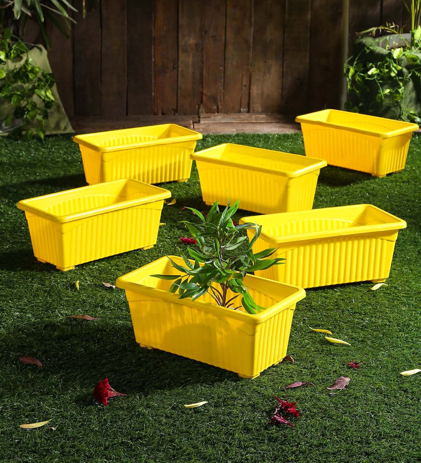 Buy Yellow Plastic Planter Set Of 6 By Meded at 27 OFF by Meded