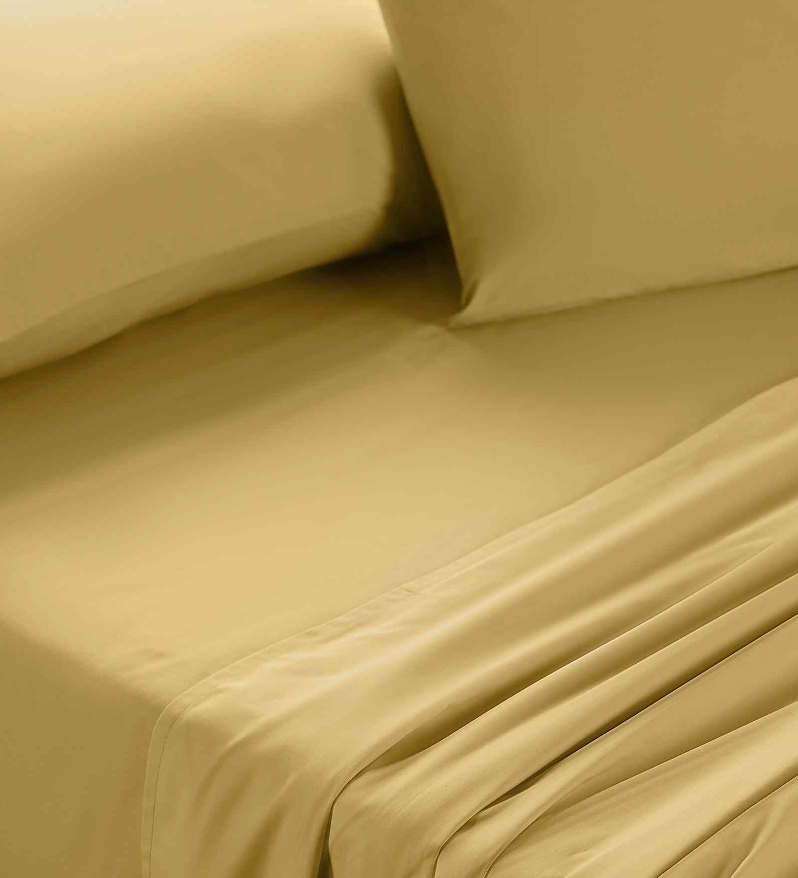 Yellow Solid 200 TC Cotton King Size Bed Sheet with 2 Pillow Covers 24 Collection