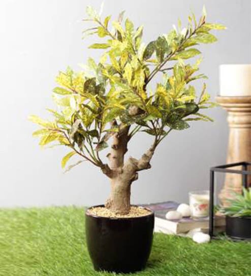 Yellow Artificial Yellow Bonsai Plant with Pot