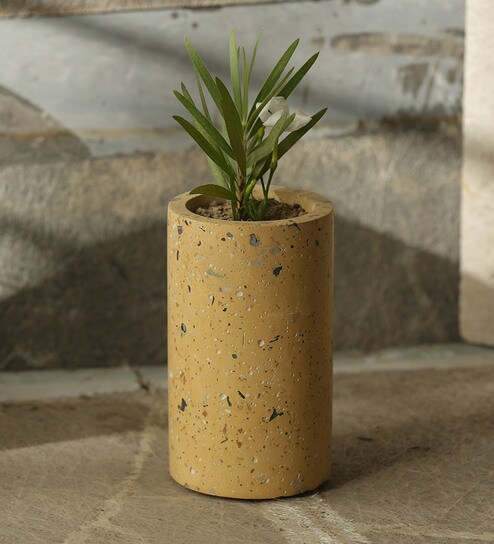 Buy Yellow Concrete The Tall Chokor Decorative Vase By Exclusivelane Online Floor Planters Pots Planters Home Decor Pepperfry Product