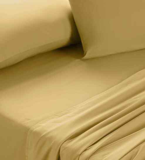 Yellow Solid 200 TC Cotton King Size Bed Sheet with 2 Pillow Covers 24 Collection
