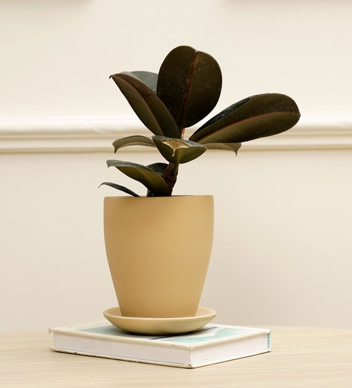 Vespa Yellow Terracotta Desk Pot by Purezento