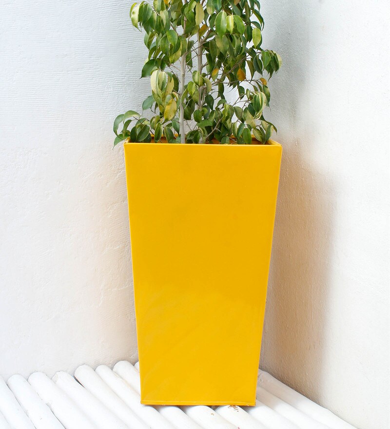 Buy Yellow Metal Large Slab Planter by Green Gardenia Online Big