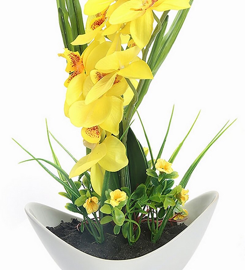 Buy Yellow Plastic With Pot Artificial Plant by home Online Artificial Flowers Artificial