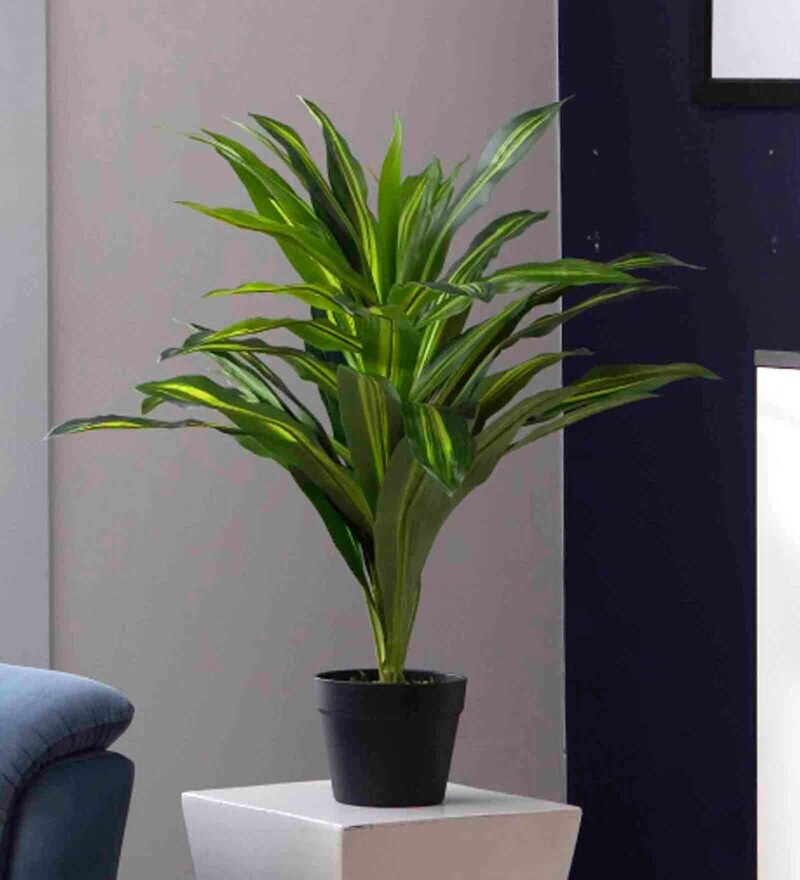 Buy Yellow Polyester Artificial Dracaena Dragon Plant with Pot by ...