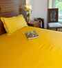 Yellow 100% Cotton Satin Plain Double Solara Bedsheet with 2 Pillow Covers Spring Summer 2025 Collection