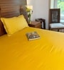 Yellow 100% Cotton Satin Plain Double Solara Bedsheet with 2 Pillow Covers Spring Summer 2025 Collection