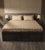 Yellow 144TC Cotton Flat Super King Bedsheet with 2 Pillow Covers