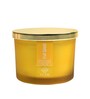 Fruit Splash 3 Wick Soy Wax Scented Candle