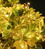 Yellow 5 Meters 50-LED Fairy Waterproof USB Operated String Lights