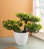 Yellow Artificial Plant With Pot