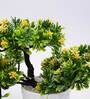 Yellow Artificial Plant With Pot