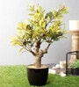 Yellow Artificial Yellow Bonsai Plant with Pot
