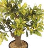 Yellow Artificial Yellow Bonsai Plant with Pot