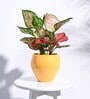 Yellow Ceramic Apple Shape Desk Pot Desk Pot