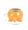Yellow Ceramic Decorative Turtle Planter Pot