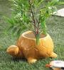 Yellow Ceramic Decorative Turtle Planter Pot