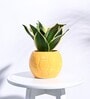 Yellow Ceramic Football Shape Desk Pot Desk Pot