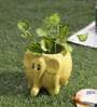 Yellow Ceramic Handcrafted Elephant Shaped Planter Pot