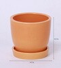 Yellow Ceramic Table Top Planter With Saucer