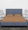 Brown Cotton Solid Finest 300TC Plain Super King Bedsheet with 2 Pillow Covers