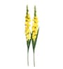 Yellow Fabric Gladiolus Artificial Flower Pack of 2