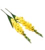 Yellow Fabric Gladiolus Artificial Flower Pack of 2