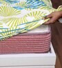 Yellow Fitted 120 TC Cotton 1 Bedsheet & 2 Pillow Covers