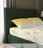 Yellow Floral 200 TC Cotton Double Bedsheet with 2 Pillow Covers