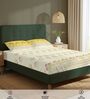 Yellow Floral 200 TC Cotton Double Bedsheet with 2 Pillow Covers