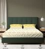 Yellow Floral 200 TC Cotton Double Bedsheet with 2 Pillow Covers