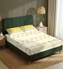 Yellow Floral 200 TC Cotton King Sized Bedsheet with 2 Pillow Covers